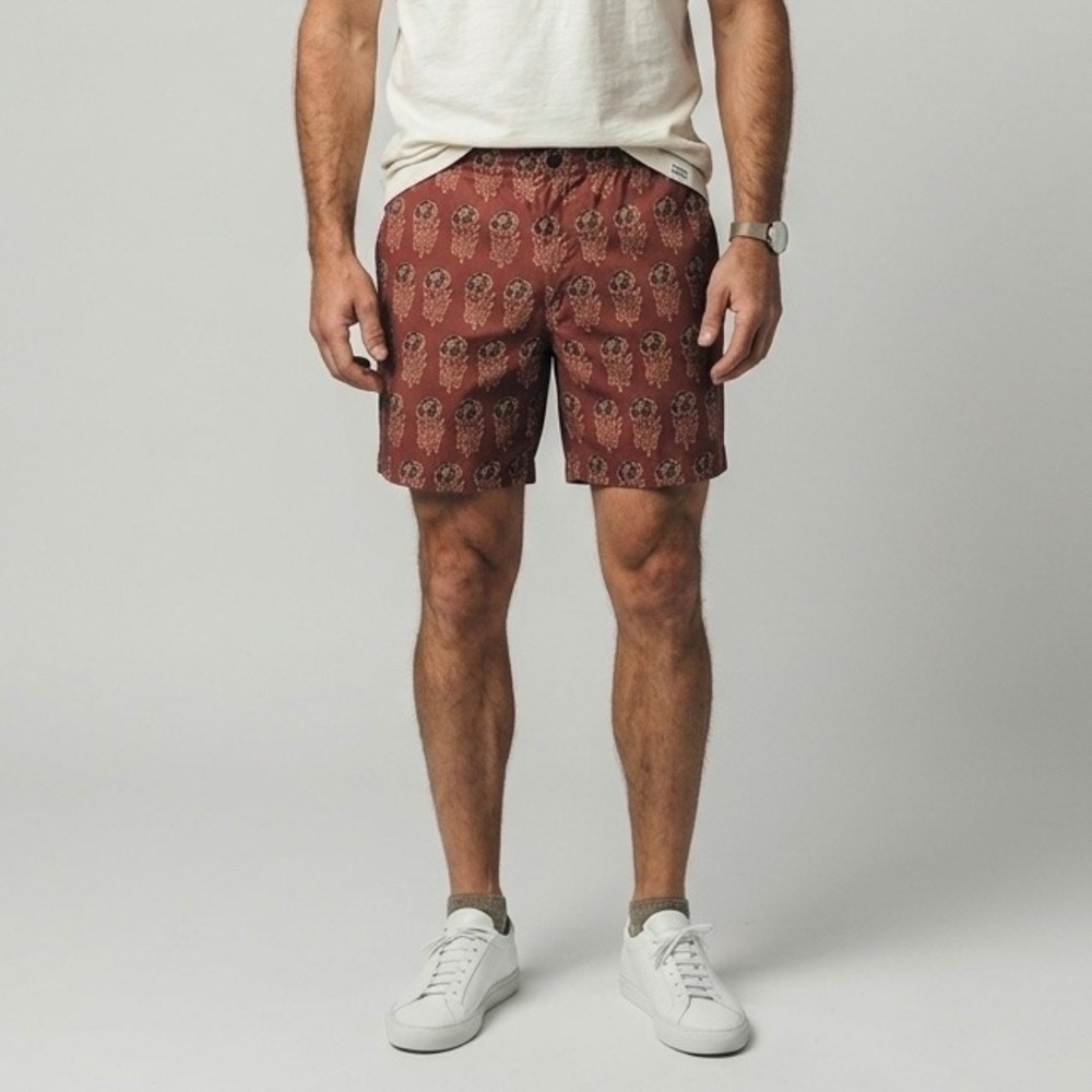Taylor Stitch Men's The Adventure Short Block Print Size 33 Organic Cotton